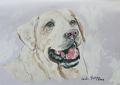 Paws & Presents: Christmas Pet Portraits 2025