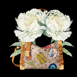 Louis Vuitton SIDE Trunk MM