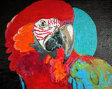 Scarlet Macaw - Original Art