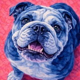 THE SIGNATURE COMPANION PORTRAITS