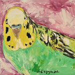 Chirps of Colour | Budgie Art Print