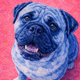 THE SIGNATURE COMPANION PORTRAITS