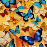 Colours In Flight | Butterfly Art Print