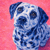 THE SIGNATURE COMPANION PORTRAITS