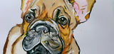 Pet Portraits Made To Order