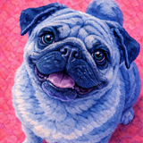 THE SIGNATURE COMPANION PORTRAITS