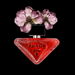 Prada Perfume Fine Art Print