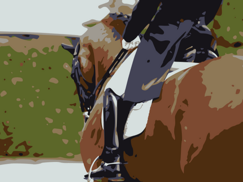 Custom Horse Portraits – Personalized Equine Art for Horse Lovers