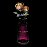 Louis Vuitton Perfume Fine Art Print