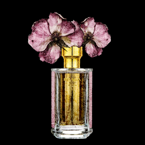 Prada Perfume Fine Art Print