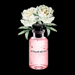 Louis Vuitton Perfume Fine Art Print