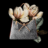 Louis Vuitton Handbag & Floral Fine Art Prints