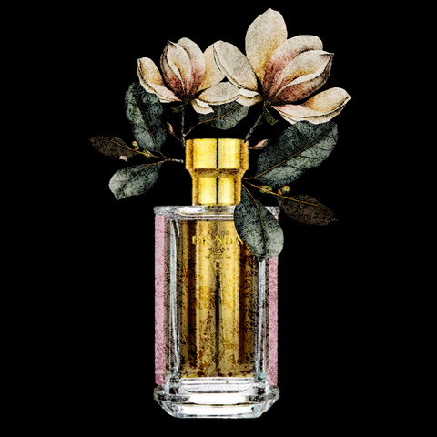 Prada Perfume Fine Art Print