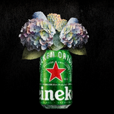 Heineken Lager Fine Art Prints – Craft Beer with Floral Art