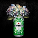 Heineken Lager Fine Art Prints – Craft Beer with Floral Art
