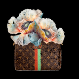 MH63AWKM Louis Vuitton