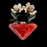 Prada Perfume Fine Art Print