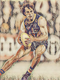 Will Hamill AFL Art | Limited Edition Prints Adelaide Crows